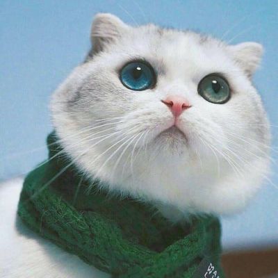 【话题】来分享一下你们曾经使用过的圈名呗（滑稽）